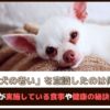 「愛犬のシニア期、意識したのは何歳」飼い主が実施している食事や健康の秘訣をご紹介