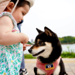 春から夏は犬による子供への咬傷事故が増加⁉子供が犬に噛まれないための予防策・対策とは？
