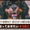 ケアは？食事は？「愛犬が10歳を超えたら知っておきたい8つのこと」