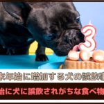 年末年始に増加する犬の誤飲事故「年末年始に犬に誤飲されがちな食べ物」まとめ