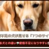 「愛情不足の犬が見せる7つのサイン」愛されている犬との違いや愛情不足になりやすい生活パターンも解説