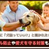 子ども連れに「犬触っていい？」と聞かれたらどうする？トラブル防止や愛犬を守る対策もご紹介