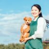 ペットショップの犬のトライアル／ホームステイ制度とは？費用や流れ、注意点について