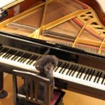 犬はレゲエとソフトロック、クラシックがお好き？音楽がもたらす犬への癒し効果とは？