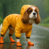 愛犬の梅雨の必需品！レインコート・防水グッズおすすめ特集【2025年版】