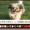 「ドッグランデビューで失敗しないために」 初心者が知っておくべき7つのポイント