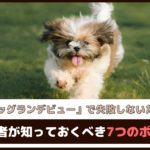 「ドッグランデビューで失敗しないために」 初心者が知っておくべき7つのポイント