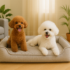 愛犬の熱中症対策に◎おしゃれで機能的なクールマット・冷感ベッド特集2025
