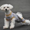 犬も足がつることってある？足が突っ張った時に考えられる原因やその理由、対策を解説！
