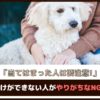 「当てはまった人は要注意！」犬のしつけができない人がやりがちなNG行動5選