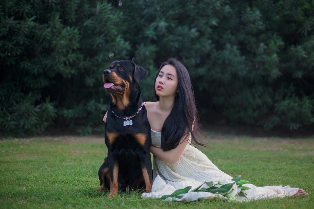 好きだけじゃない?愛犬の仕草に隠された真意や似た動作で正反対の意味も持つ仕草4選!