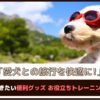 「愛犬との旅行を快適に！」そろえておきたい便利グッズ・お役立ちトレーニングをご紹介