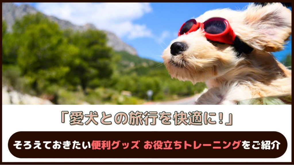 「愛犬との旅行を快適に！」そろえておきたい便利グッズ・お役立ちトレーニングをご紹介