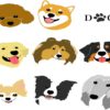 犬は顔の違いと体格差で寿命の長さが変わる？最新研究から紐解く犬が長生きする秘訣とは？