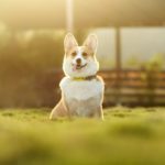 うちの子、お盆に“帰ってきたかも？”説を信じたくなる瞬間8選
