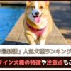 「2025年最新版」人気犬種ランキングTOP10！ランクイン犬種の特徴や注意点もご紹介