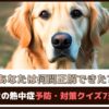「あなたは何問正解できた？」犬の熱中症予防・対策クイズ7選
