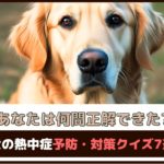 「あなたは何問正解できた？」犬の熱中症予防・対策クイズ7選