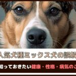 「人気犬種ミックス犬の誤解?!」飼う前に知っておきたい健康・性格・病気のことを解説