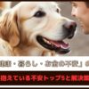「愛犬の健康・暮らし・お金の不安の実態調査」飼い主が抱えている不安トップ5と解決策をご紹介