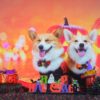 【2025年10月関西版】愛犬と楽しむ「ハロウィンイベント＆ドッグフェス」まとめ7選！