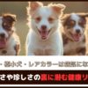 「超小型犬・極小犬・レアカラーは病気になりやすい？」可愛さや珍しさの裏に潜む健康リスク
