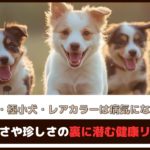 「超小型犬・極小犬・レアカラーは病気になりやすい？」可愛さや珍しさの裏に潜む健康リスク
