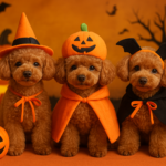 【2025年版】愛犬用ハロウィングッズは3COINSで！プチプラ＆可愛いコスチューム特集