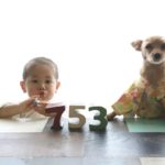 犬の七五三って?年齢はいつ?迎える時期の大切な意味やお祝いできる神社、注意点をご紹介!