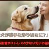 「犬が苦手な香りはなに？」犬に与える影響やストレスの少ない匂いの選び方を解説