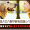 「愛犬の介護不要を目指して」シニア期までに飼い主さんができる準備6選