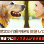 「愛犬の介護不要を目指して」シニア期までに飼い主さんができる準備6選