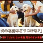 「犬の名前はどうつける?」人気の名前や付けてはいけない名前、覚えやすい名前などをご紹介