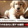「社会化を逃した犬はどうなる？」「犬の社会化はいつまで？」犬の社会化に関する疑問6選