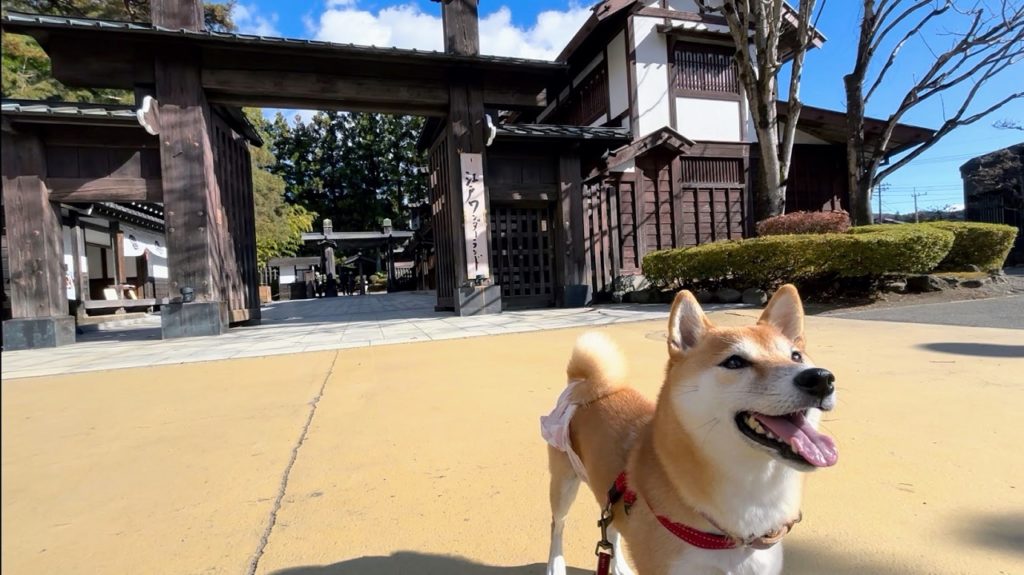 6年振りに帰ってきた！日光江戸村で楽しむペットイベント【犬も歩けば八百八町】体験レポ！
