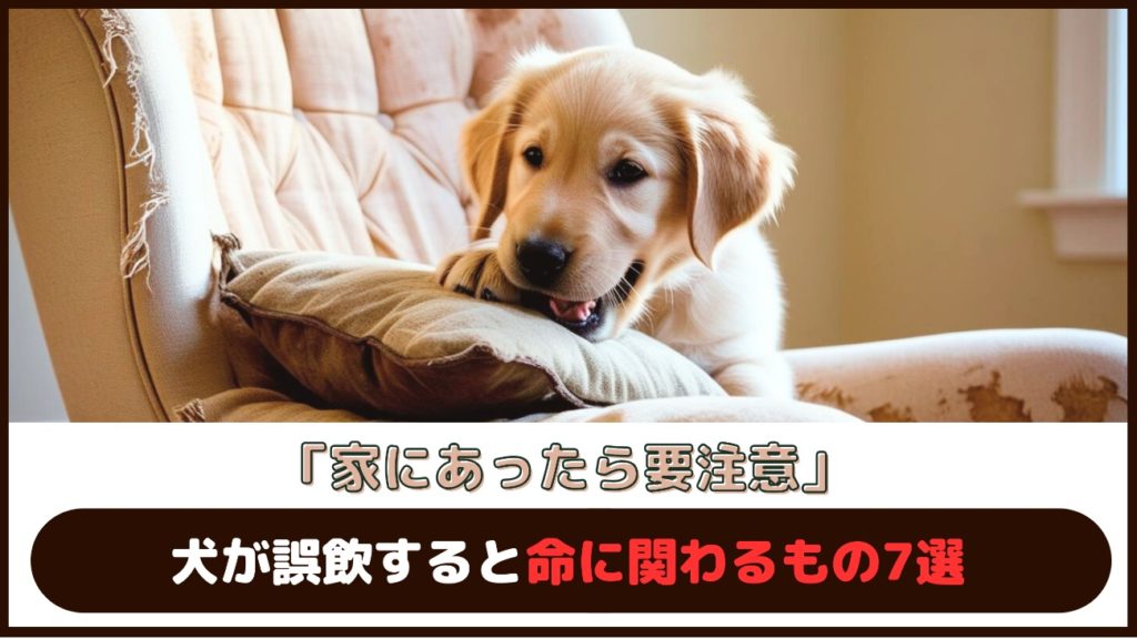 「家にあったら要注意」犬が誤飲すると命に関わるもの7選