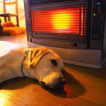 冬は犬の低温ヤケドに要注意！低温ヤケドの定義や熱傷度合い、応急処置や予防策をご紹介！