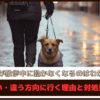 「愛犬が散歩中に動かなくなるのはわがまま？」歩かない、違う方向に行く理由と対処法を解説