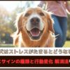 「犬はストレスがたまるとどうなる？」ストレスサインの種類と行動変化、解消法をご紹介
