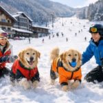 愛犬と泊まれる！ペットOKの【長野県】スキー場直結の宿・ホテル4選