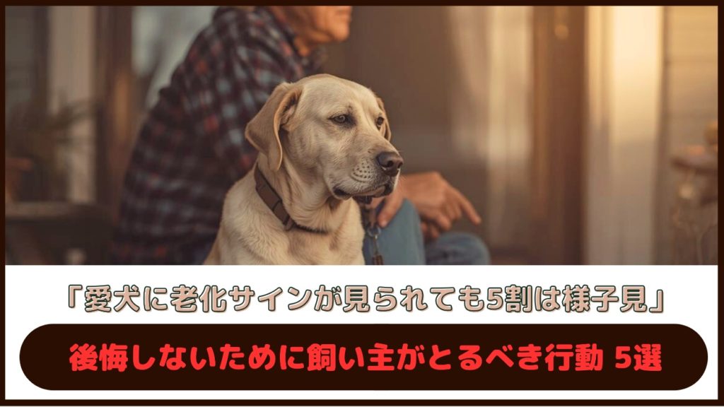 「愛犬に老化サインが見られても5割は様子見」後悔しないために飼い主がとるべき行動5選