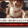 「犬と猫を一緒に飼うにはどうする？」一緒に暮らすための事前準備や対面のさせ方を紹介