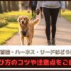 「犬の首輪・ハーネス・リードはどう選ぶ？」選び方のコツや注意点をご紹介