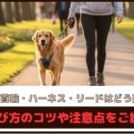 「犬の首輪・ハーネス・リードはどう選ぶ？」選び方のコツや注意点をご紹介