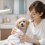 【2026最新】速乾＆両手フリー！ペット用おすすめ「ハンズフリードライヤー」5選