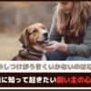「犬のしつけがうまくいかないのはなぜ？」しつけ前に知って起きたい飼い主の心構え4つ