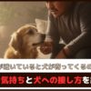 「飼い主が泣いていると犬が寄ってくるのはなぜ？」犬の気持ちと犬への接し方を紹介