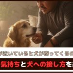 「飼い主が泣いていると犬が寄ってくるのはなぜ？」犬の気持ちと犬への接し方を紹介