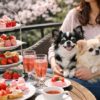 2026年春・愛犬と楽しめる！ペット同伴OKのアフタヌーンティー５選【関東近郊】