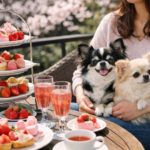 2026年春・愛犬と楽しめる！ペット同伴OKのアフタヌーンティー５選【関東近郊】